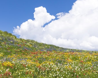 Utah Spring Wildflowers - Photo Print - Landscape Fine Art - Salt Lake City - Studio Ghibli Print - Howls Moving Castle - Mount Timpanogos