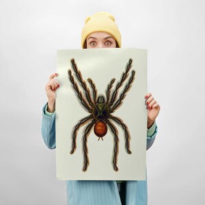 Pinktoe Tarantula vintage spider poster, historia natural atlas arácnidos ilustración, espeluznante horror art print décor 0037 imagen 6