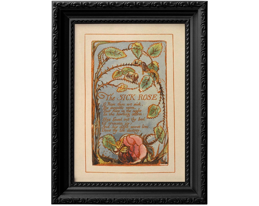 William Blake the Sick Rose. Reproduction Print From 18th Century Illuminated Book of Poems