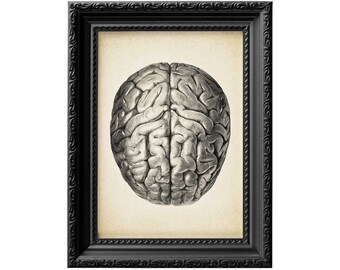 Brain wall art | Medical student gift | Anatomy poster | Medical art | Brain poster | Neuroscience art | Office wall decor 0040