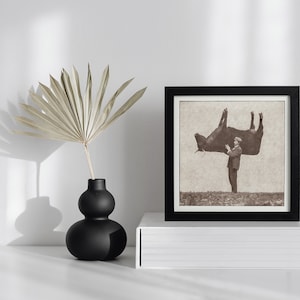 Pode incluir: Uma fotografia vintage em preto e branco de um homem segurando uma vaca de cabe&ccedil;a para baixo. A foto est&aacute; emoldurada em uma moldura preta e &eacute; exibida em uma prateleira branca.
