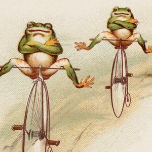 Frogs Riding Victorian Era Penny Farthing Bikes. Reproduction Print of ...