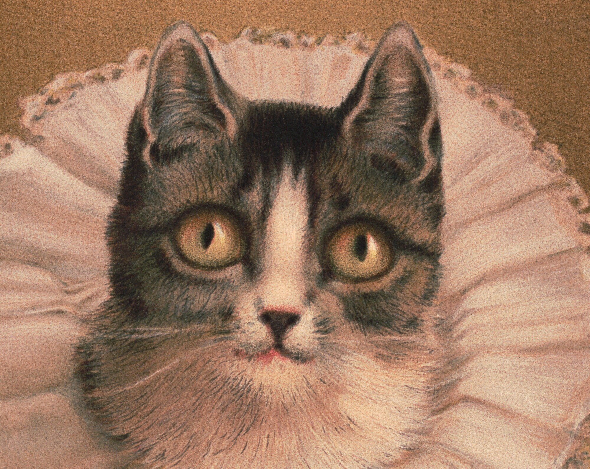 cat with ruffle collar painting