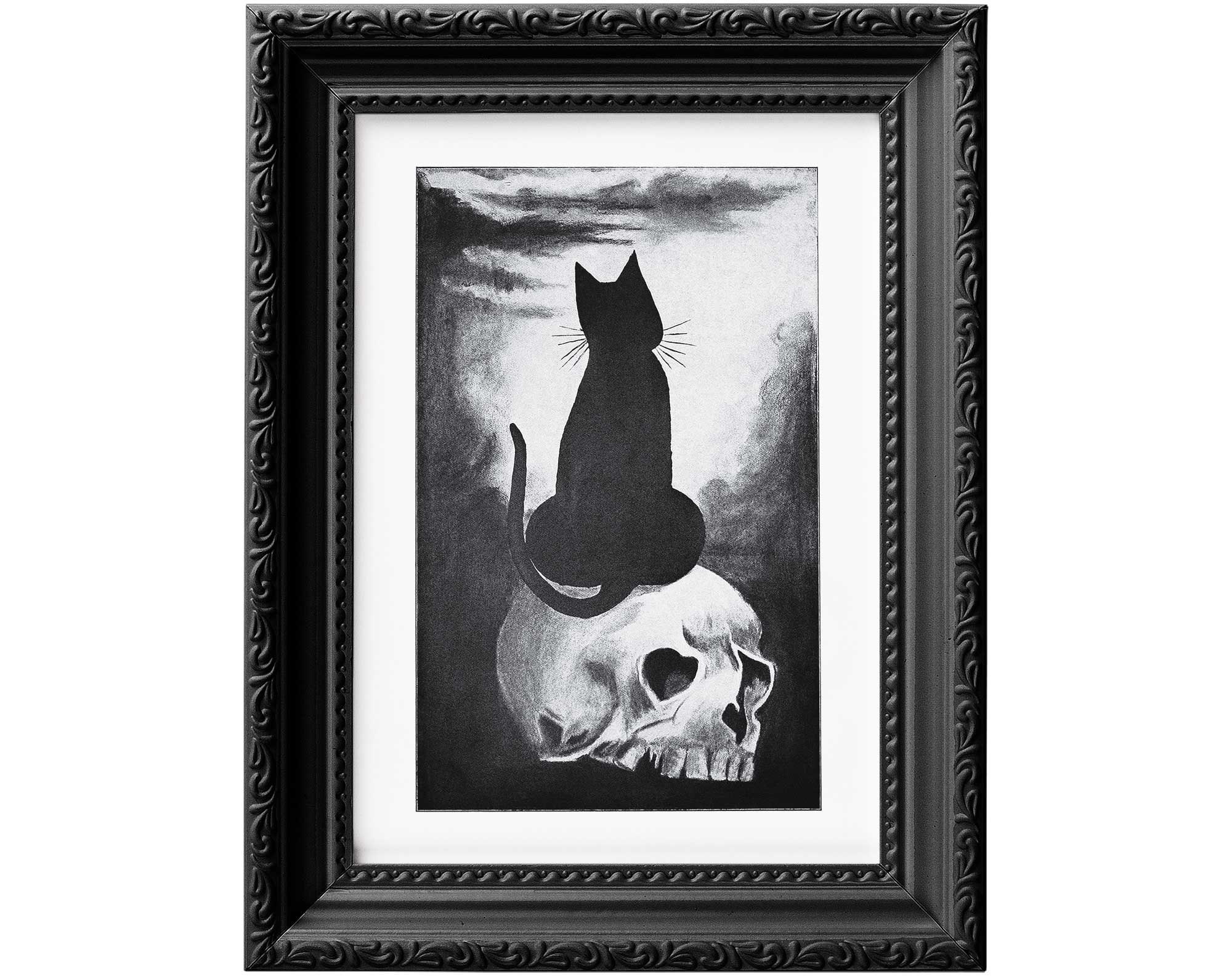 Black Cat Sitting on a Human Skull, Cat Noir Vintage Witchy and