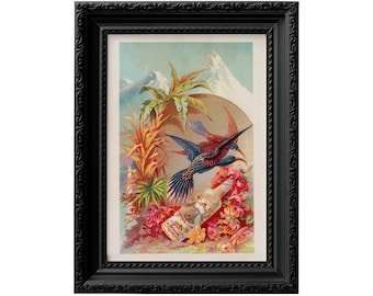 Impression publicitaire sur l'eau de Floride : art floral vintage colibri