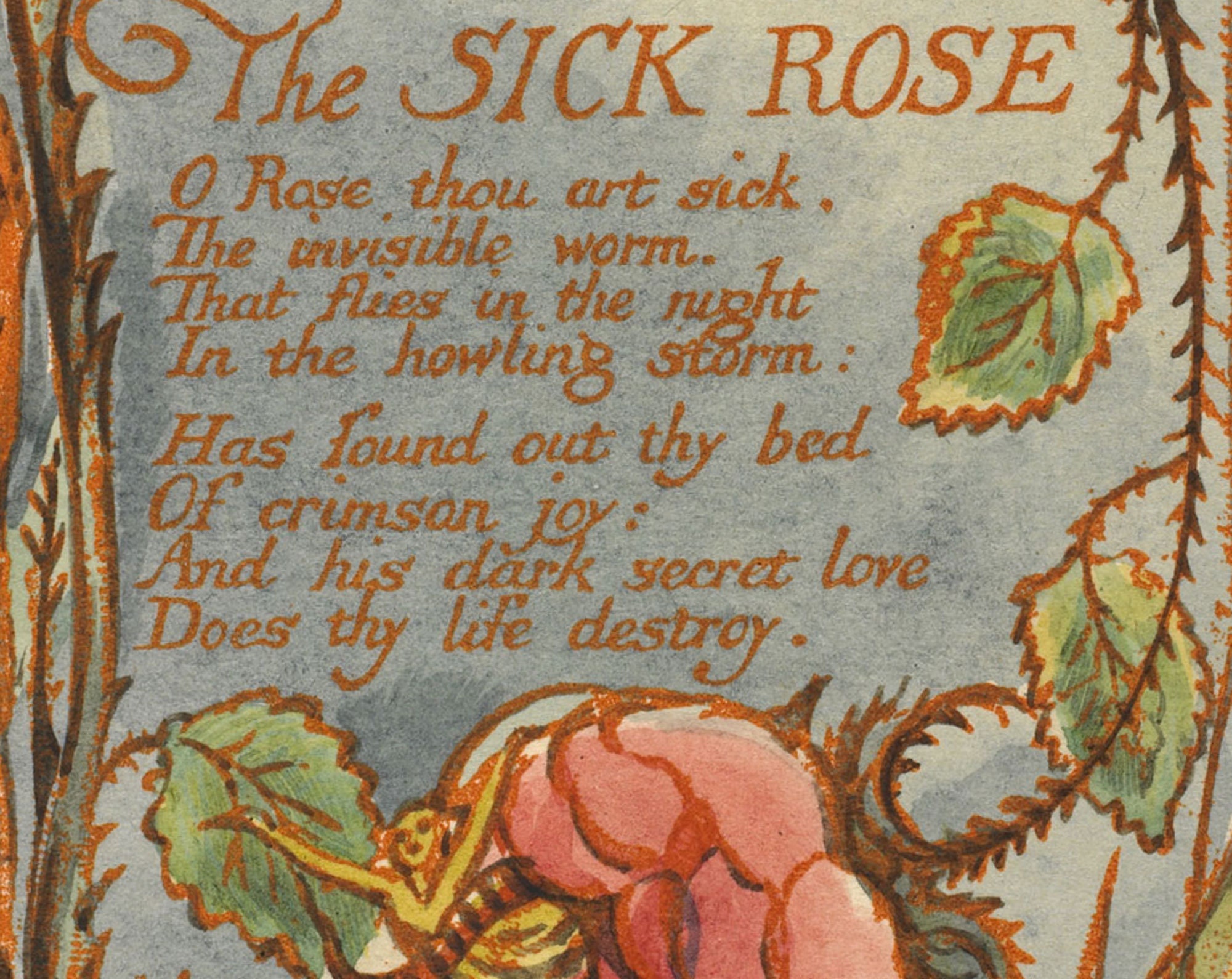 William Blake the Sick Rose. Reproduction Print From 18th Century Illuminated Book of Poems