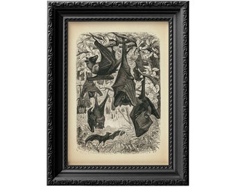 Hanging bats vintage illustration reproduction print, cute horror and gothic bat wall art 0072