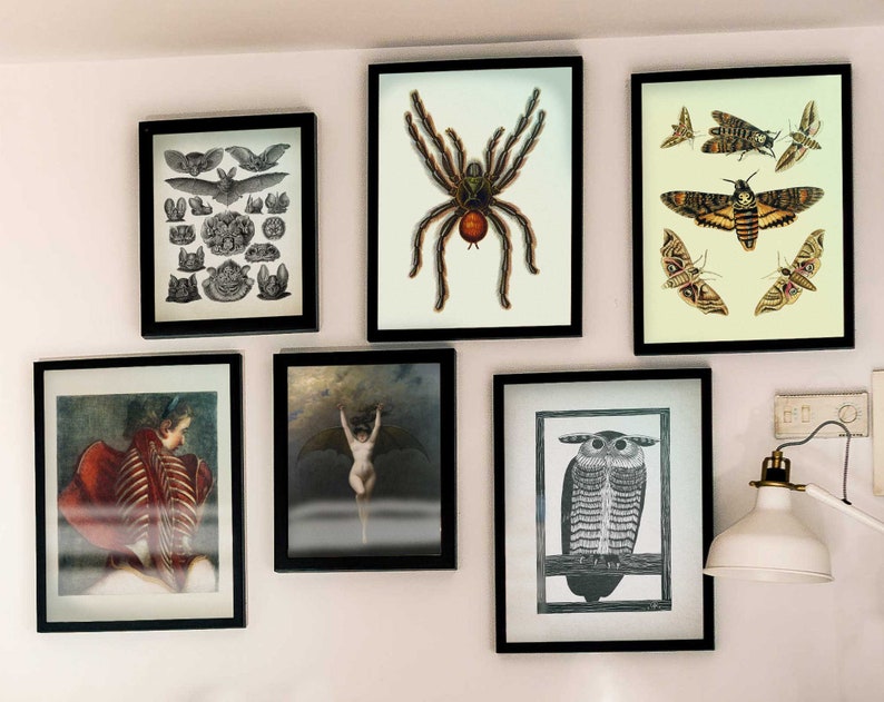 Puede incluir: Una pared de galer&iacute;a con nueve impresiones enmarcadas. Las impresiones presentan varias ilustraciones en blanco y negro de insectos, animales y dibujos anat&oacute;micos. Las impresiones est&aacute;n dispuestas en una cuadr&iacute;cula en una pared blanca.