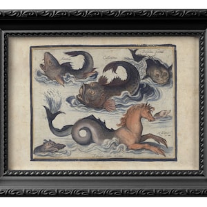Mythical sea creatures, unframed reproduction of 16th century Dutch engraving on paper. Under the sea nautical decor poster print 0118