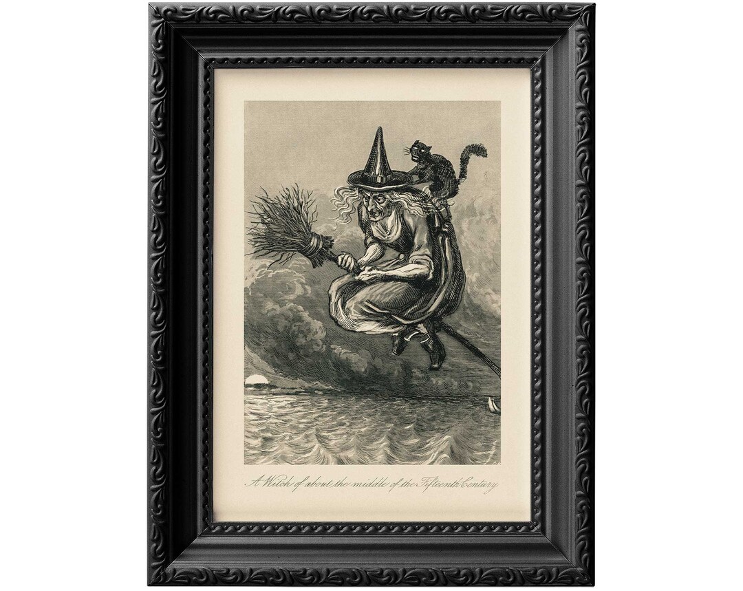 Halloween Witch on a Broom, With Angry Black Cat Sitting on Her Back ...