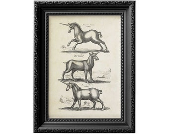 Licornes, impression d'affiche de créatures des bois légendaires, reproduite à partir de l'encyclopédie allemande vintage des années 1600 0098