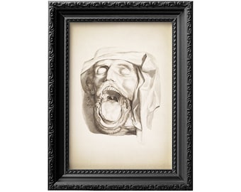 Gravure du XVIIIe siècle représentant un visage humain, la bouche ouverte. Reproduction d'impression d'art anatomique sans cadre et retouchée numériquement 0005