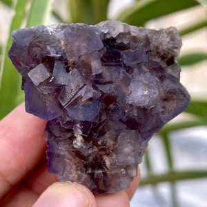 385 CTS Natural Purple Fluorite Specimen , Mineral Specimens , Crystals