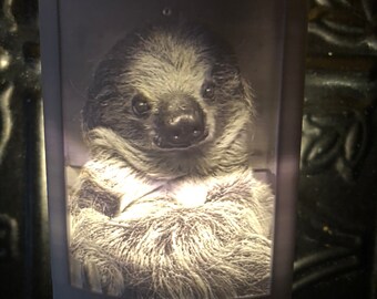 Sloth Hanging Humeur Lumière Couleur Changeante DEL Nuit Lampe 7 modes 