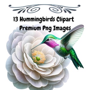 13 Hummingbirds Clipart, PNG, Watercolor Hummingbirds Images Bundle, Hummingbird PNG, Hummingbird Illustrations, Wall Art, Commercial Use