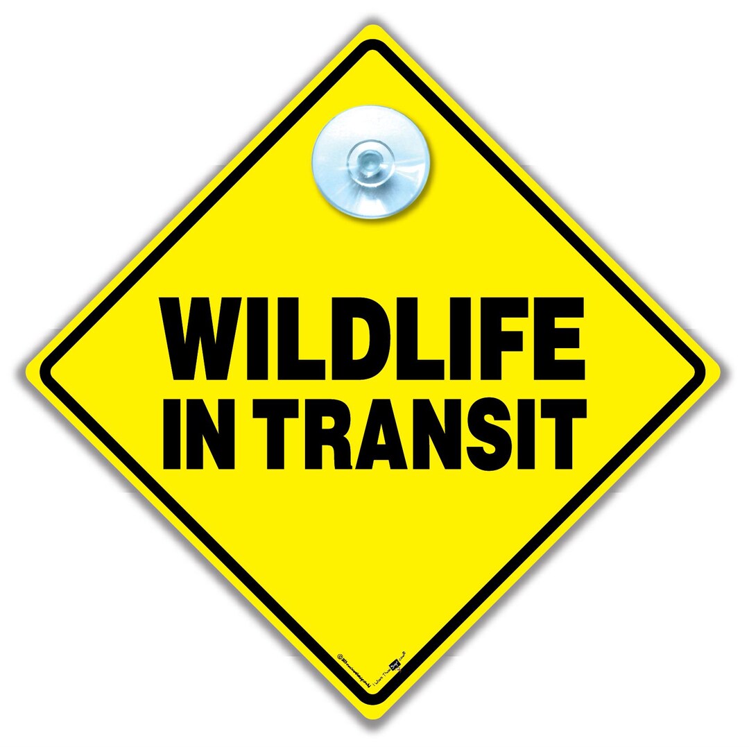 Wildlife in Transit Car Sign: Yellow Diamond, Suction Cup Mount - Etsy