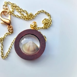 Seashell Necklaces, summer, ocean jewelry, gift