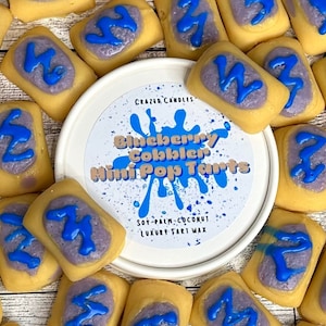 Mini Pop Tarts, Blueberry Cobbler, Dessert Wax Melts, Food Wax Tarts, Pop Tart Lovers, Blueberry Fragrance, Food Melts