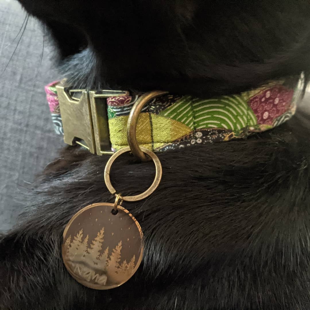 Collier Chien Chat Personnalisé