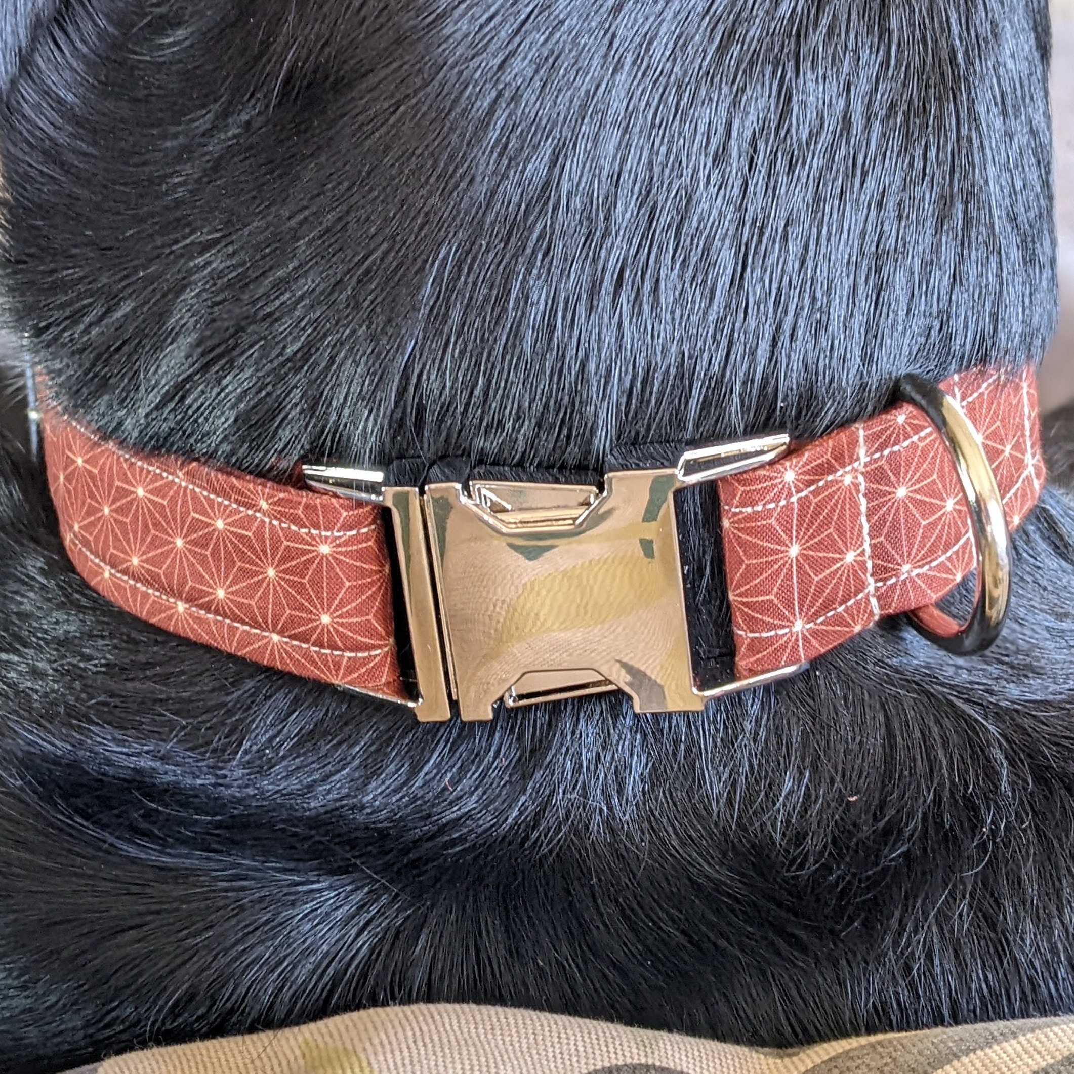 Collier Chien Chat Personnalisé