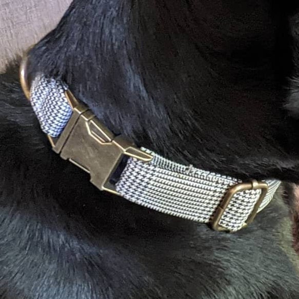 Collier Chien Chat Personnalisé