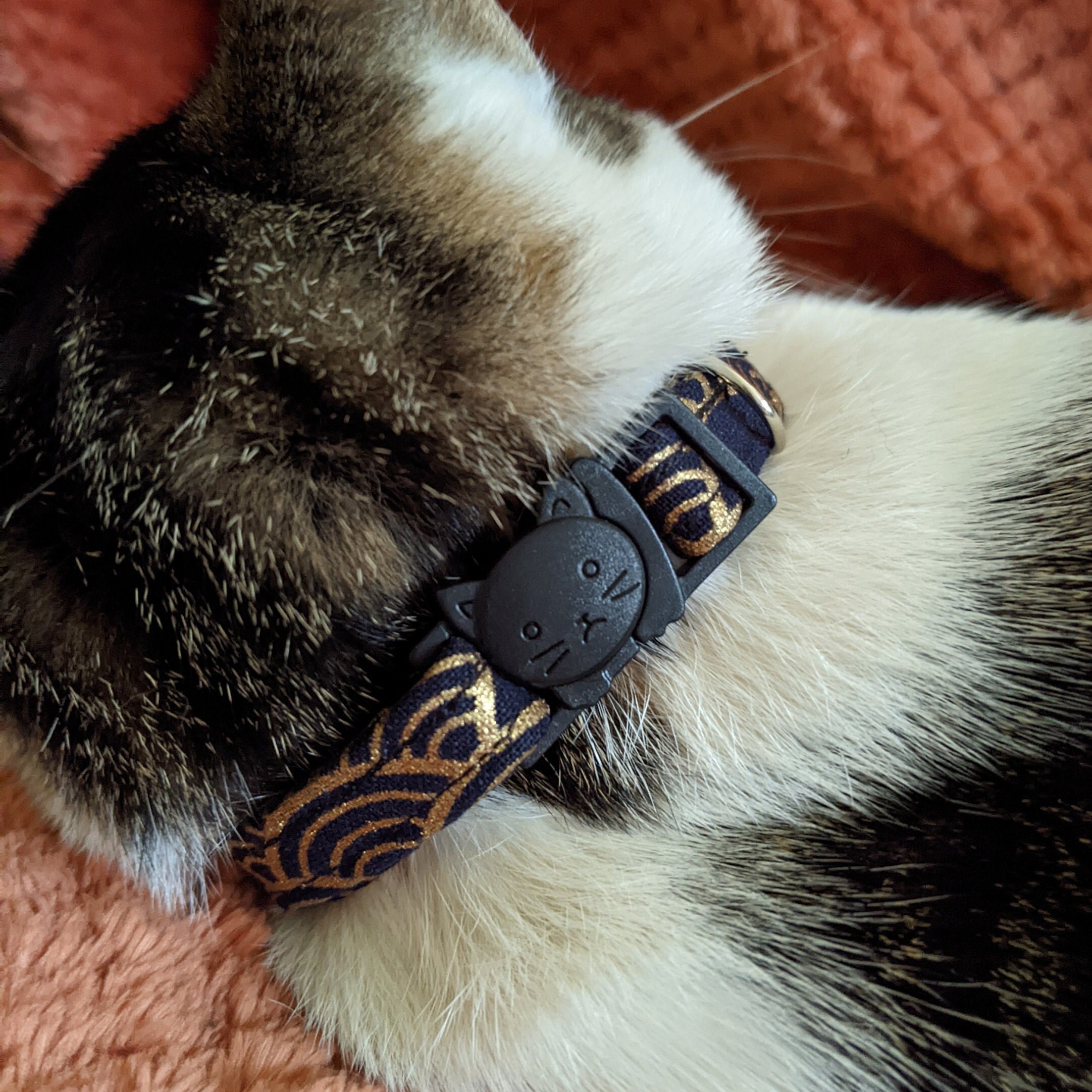 Collier Chien Chat Personnalisé