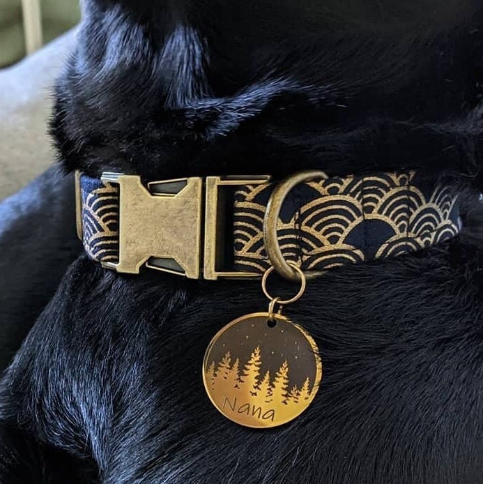 Collier Chien Chat Personnalisé