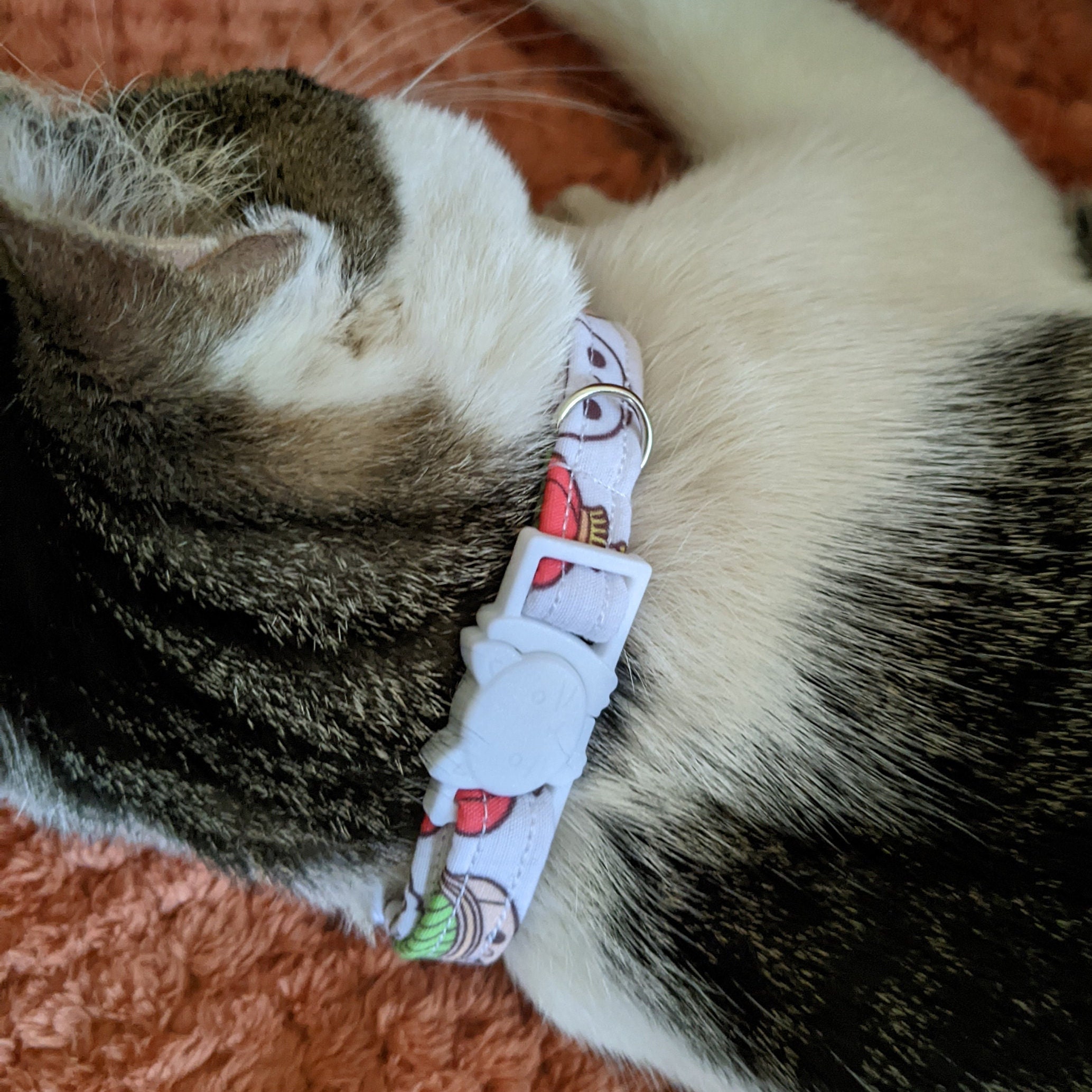 Collier Chien Chat Personnalisé