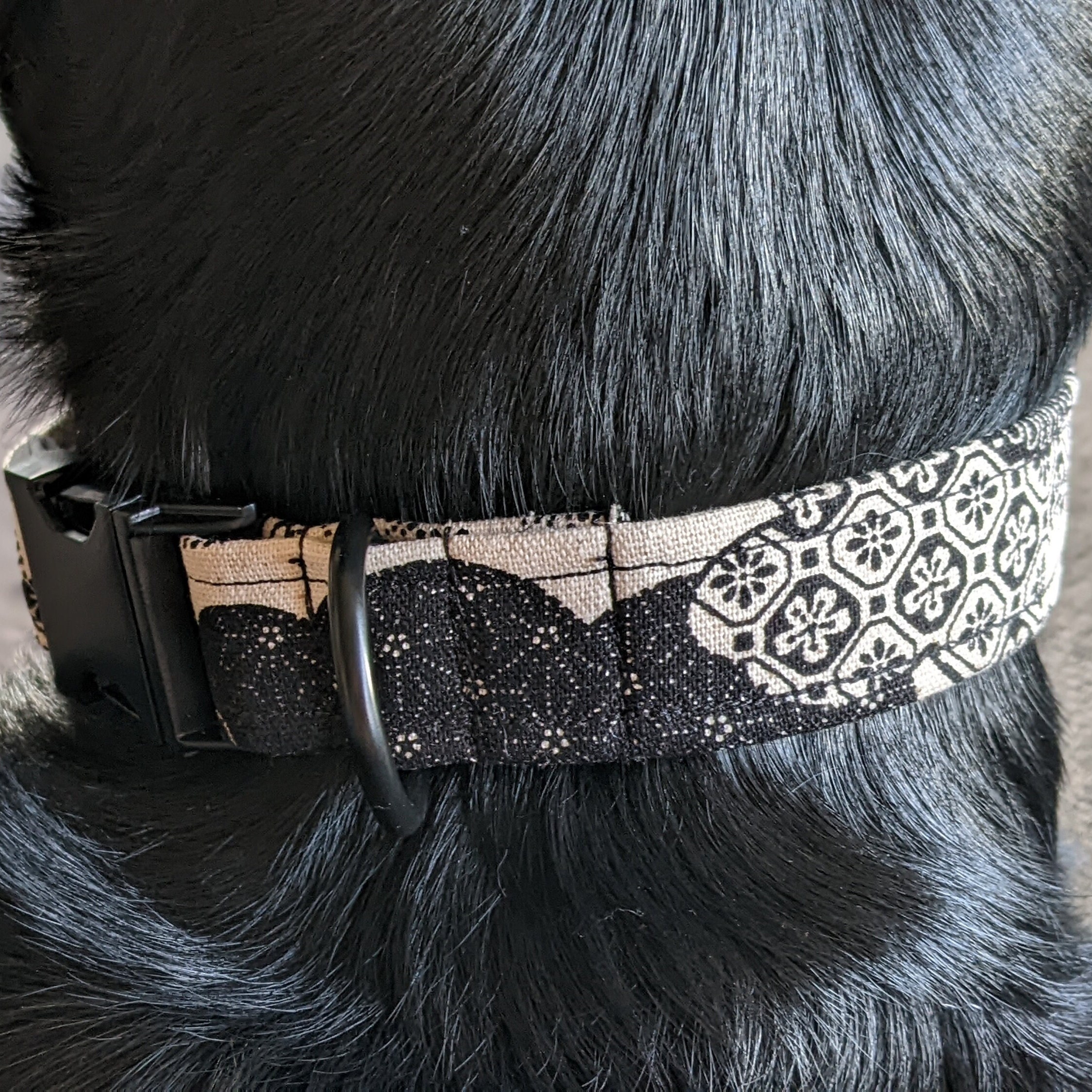 Collier Chien Chat Personnalisé