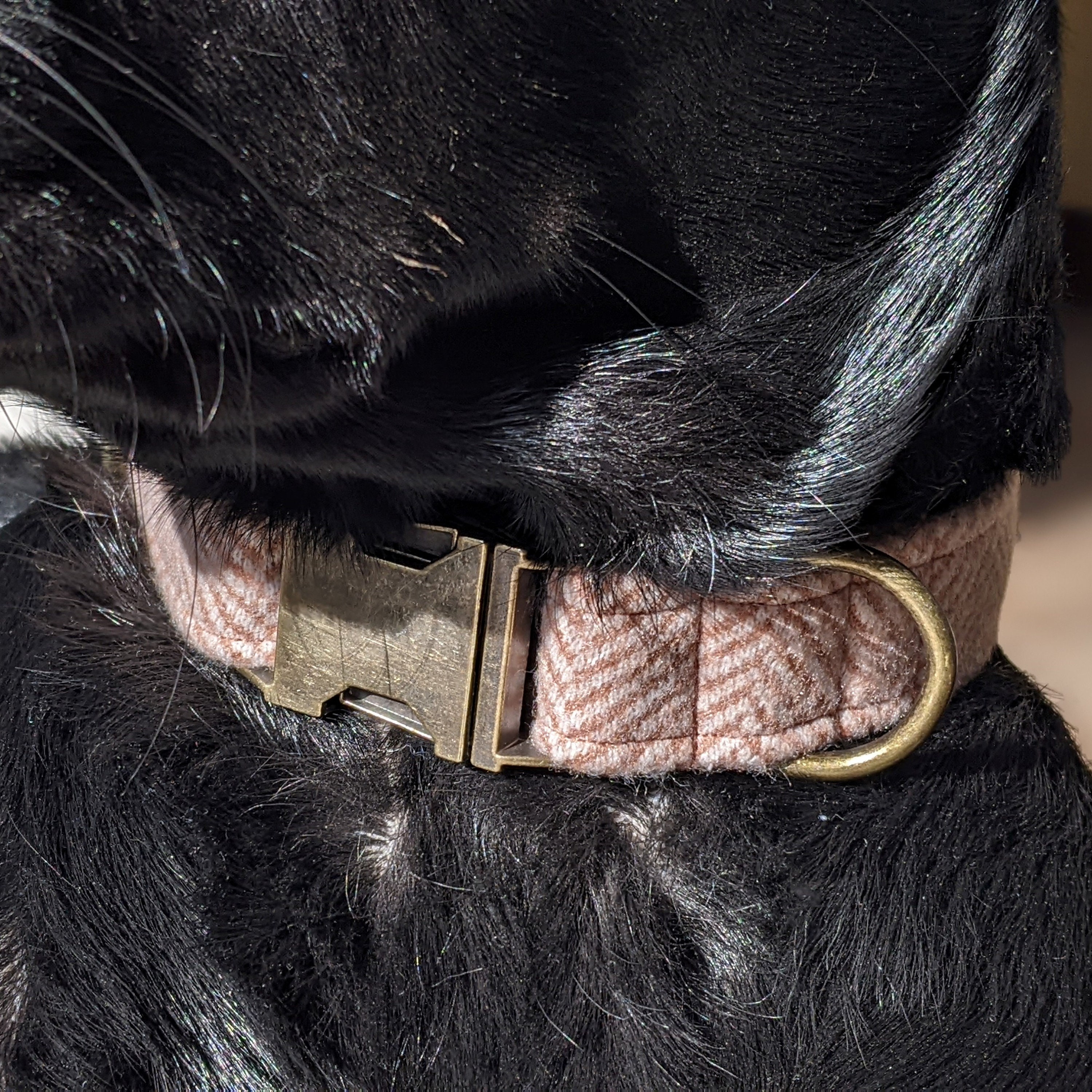 Collier Chien Chat Personnalisé