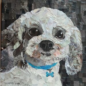 White Shih Tzu art print, coton de tulear wall art, shih tzu pet gift, shih tzu long ears, cute shih tzu, unique, hidden pictures, pop art