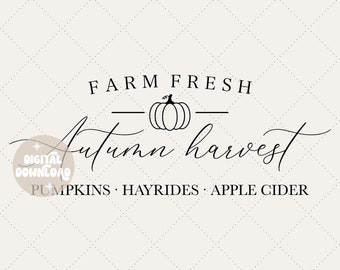 Könnte beinhalten: Ein digitales Design mit dem Text "FARM FRESH Autumn harvest" und einer Kürbis-Illustration. Darunter steht "PUMPKINS • HAYRIDES • APPLE CIDER." Das Design enthält den Text "SVG + PNG | DIGITAL DOWNLOAD ONLY."
