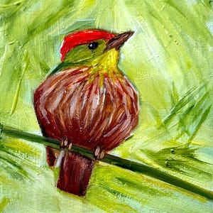 Bird Artwork Tropical Bird Painting Small Oil Painting Animal Painting Wall Art Wildlife Wall Decor Handmade Artwork by Leenfineart