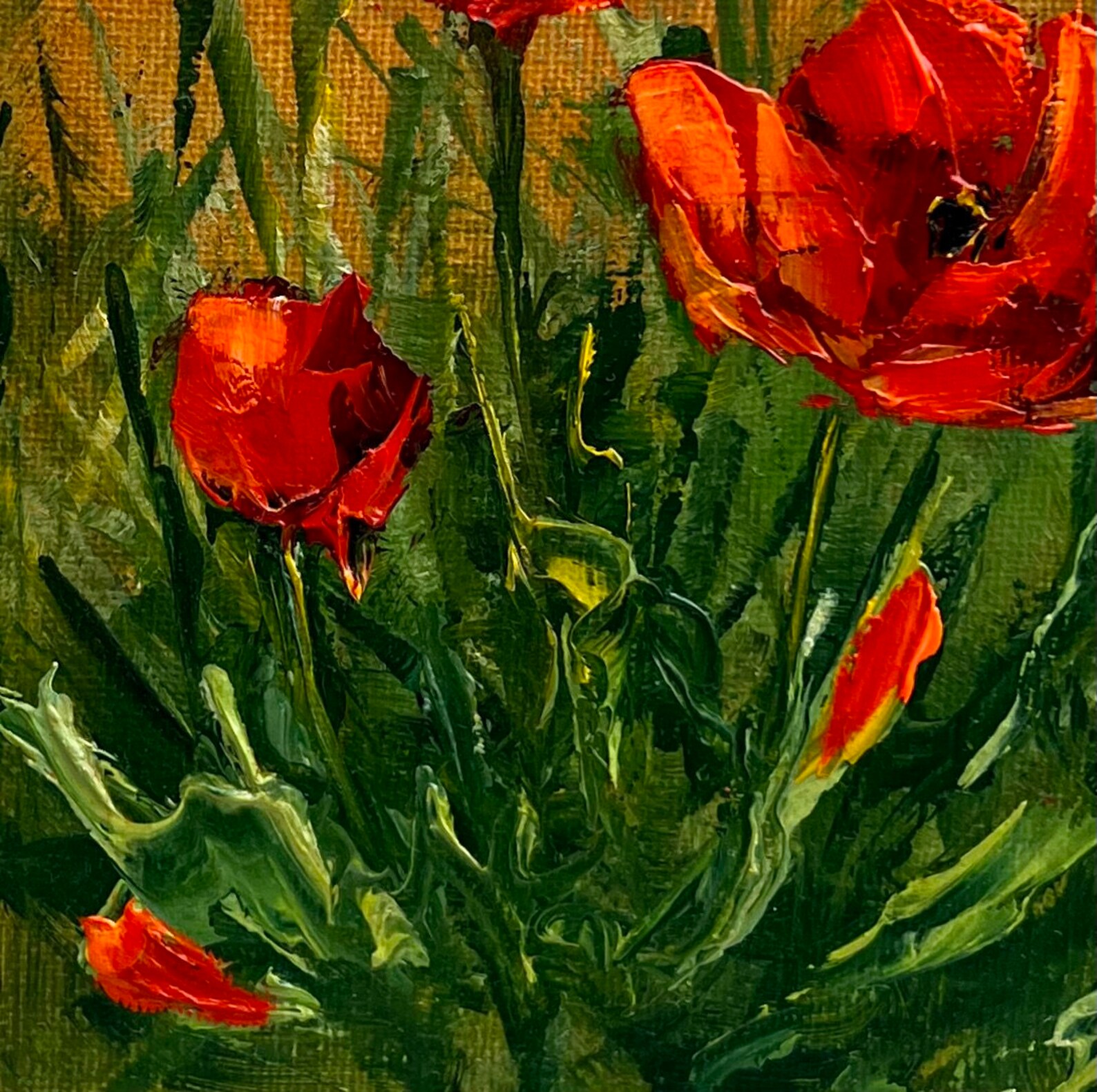 Red Poppy Flower Oil Painting Sunset Floral Original Art Textured Wall ...