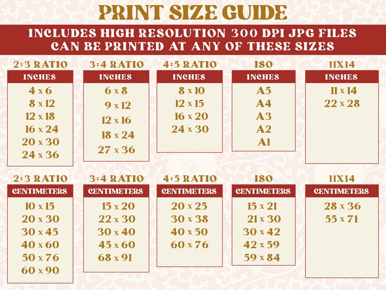 May include: A print size guide for digital images, showing different aspect ratios and standard paper sizes in inches and centimeters. The guide includes 2:3, 3:4, 4:5 ratios, ISO paper sizes, and 11x14 sizes.