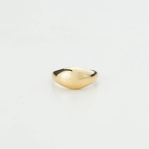 18k Gold Signet Statement Ring, Gift for Women, Bridesmaid Gift, Gifts For Her. Stainless Steel-Tarnish free
