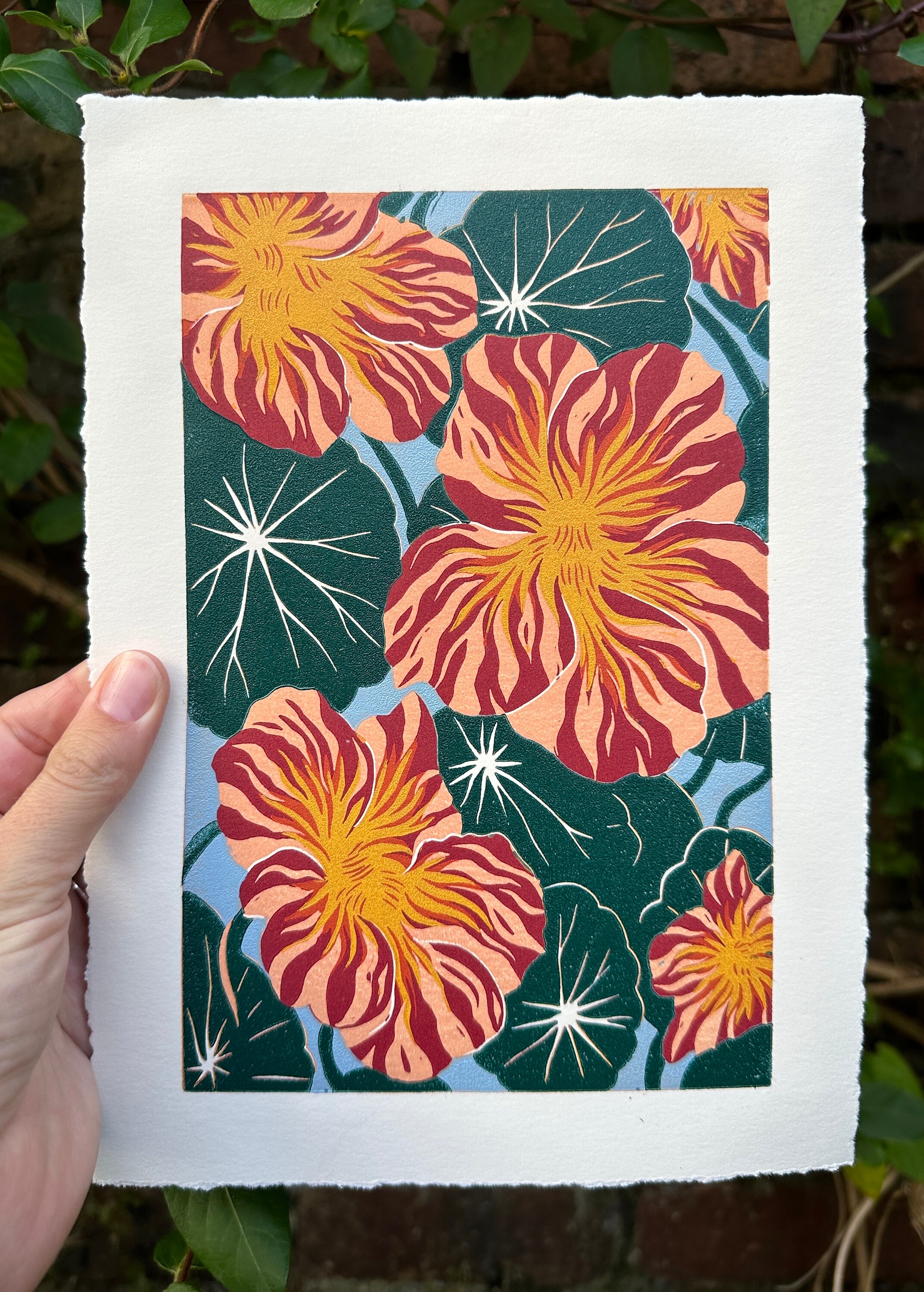 Nasturtium special Edition - Etsy