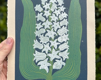 Hyacinth (in white and green)