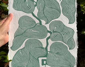 Fig in green (on handmade paper)