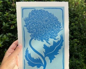 Chrysanthemum (Blue)