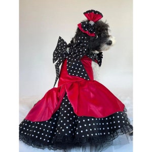 Candy Apple Red and Black & White Polka Dot Dress for Dogs and Cats