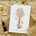 see more listings in the Postcards section