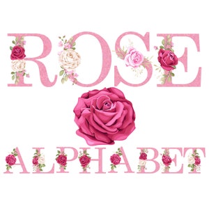 Clipart alfabeto rosa bianco e rosa scrapbooking set digitale carta stampabile / acquerello floreale / monogramma / rose / rosa rosa / bianco