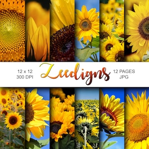 Sunflower Digital Scrapbook Printable Paper | Digital Paper | Sun Flower | Floral | Yellow | Photo | Digital Paper | Photography |