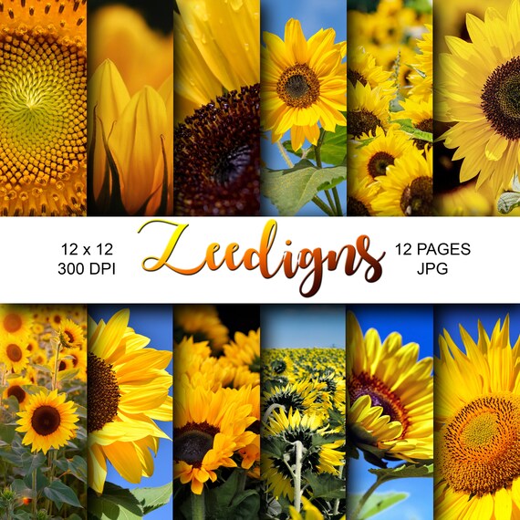 Sunflower Digital Scrapbook Printable Paper Digital Paper | Etsy