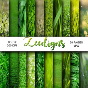 Op de afbeelding: Een digitaal papierpakket met 20 verschillende afbeeldingen van groen gras met dauwdruppels. De afbeeldingen zijn 12 inch bij 12 inch en 300 DPI. De tekst "Zeediigns" staat in het midden van de afbeelding.