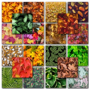 Leaves Digital Scrapbook Printable Paper | Digital Paper | Fall ...