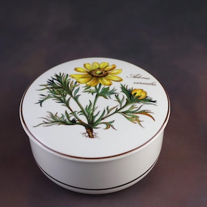 Caixa de joias vintage em porcelana, com motivo floral, Villeroy & Boch, Luxemburgo, modelo Adonis vernalis.