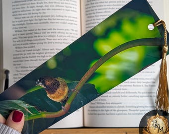 Finch Bookmark | Munia Bird | Nature Photography | Bookmark with Tassel