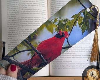 Red Cardinal Bookmark | Nature Photography | Bird Bookmark with Tassel